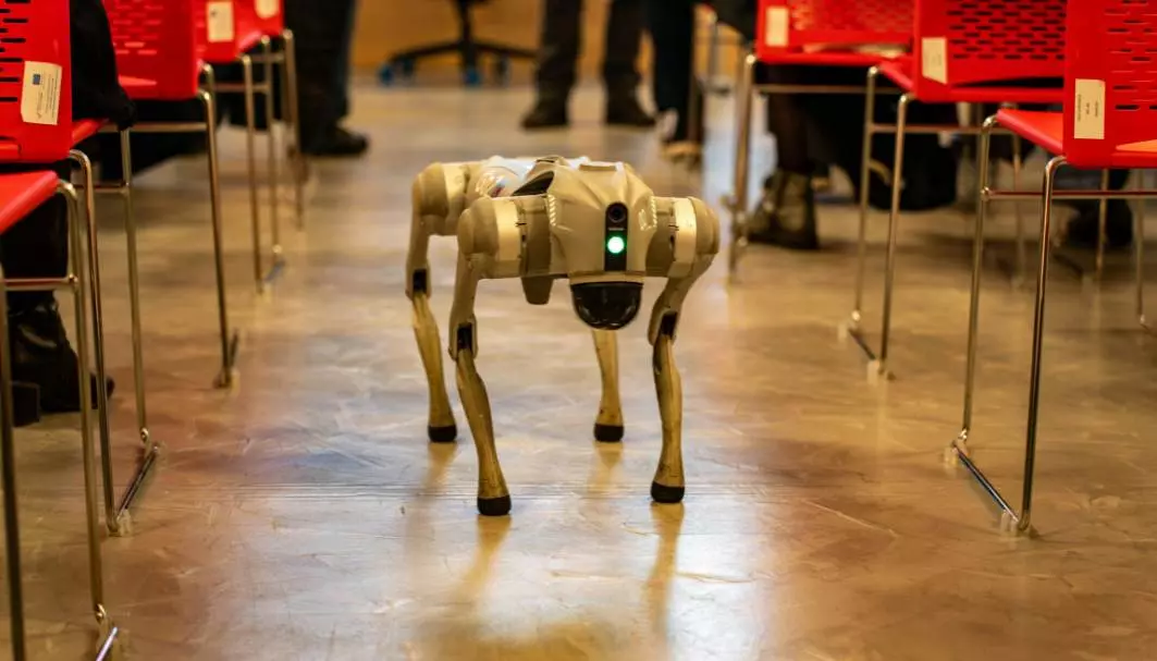 Cão Robô
